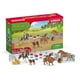 thumbnail image 1 of Playset Schleich Rodeo Show de 42 piezas con juguetes de vaquero y vaquera, 1 of 3