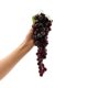 thumbnail image 3 of Uvas artificiales caiyjhao 2 piezas, 85 uvas moradas, 3 of 6