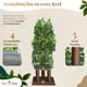 thumbnail image 4 of Árbol para gatos PRIORPET con hojas, 63 cm de altura, 4 niveles para rascar, 4 of 9