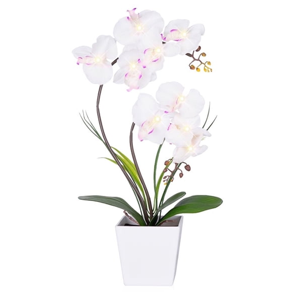 Lámpara con forma de orquídea HOMESEASONS Homeseaons, arreglo con iluminación LED