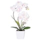 thumbnail image 1 of Lámpara con forma de orquídea HOMESEASONS Homeseaons, arreglo con iluminación LED, 1 of 7