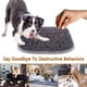 thumbnail image 5 of Snuffle Mat Rundik para perros, juego de oler y comer, 43 x 53 cm, 5 of 7