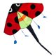 thumbnail image 1 of Ladybug Fly Kite Easy To Fly Triangle Kite Con Cuerda Delta Kite Para Deportes, 1 of 5
