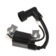 thumbnail image 1 of Bobina De Encendido 595009 Compatible Con Motores De Cortacésped Briggs Stratton De Color Negro, 1 of 5