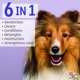 thumbnail image 3 of Shampoo para Perros Hartz Groomers Best 6 en 1, 3 of 3