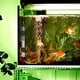 thumbnail image 3 of Calentador de acuario, calentador sumergible para pecera, varilla de calor para tortugas con pantalla de temperatura, controlador de temperatura externo, 3 of 8