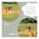 thumbnail image 5 of Set TRIXIE de conos Dog Agility Hurdle para principiantes y avanzados, 5 of 7