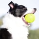 thumbnail image 2 of Pelota de goma para perros Nerf Dog con chirriador de 10 cm de diámetro Verde, 2 of 6