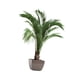 thumbnail image 3 of Calcomanías De Pared Con Plantas Botánicas, Adornos Para Estanterías, Pegatinas De Arte De Pared En 3D Para Dormitorio, 3 of 5