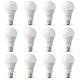 thumbnail image 1 of Bombillas LED Feit Electric A19 equivalentes a 100 W, paquete de 12, 1 of 5