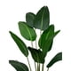 thumbnail image 2 of Palmera Sterlitzia 160cm Artificial (flor De Pajaro), 2 of 3