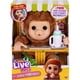 thumbnail image 1 of Juguete Interactivo Little Live Pets My Baby Monkey Mango, 1 of 3