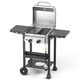 thumbnail image 1 of Parrilla eléctrica de gas propano para barbacoa de 2 quemadores con sartén, 1 of 6
