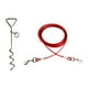 thumbnail image 3 of Cable De Amarre Para Perros Y Cadena Para Perros De Estaca Para Jardín De Playa, Perros Pequeños A Medianos, Cable Rojo De 300 Cm, 3 of 5
