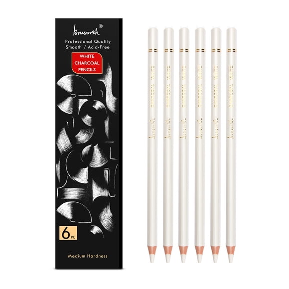 Juego de 6 lápices de carbón blanco Brusarth