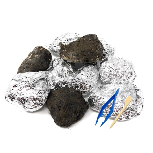Kit de disección de pellets PelletPal Premium para lechuzas comunes grandes