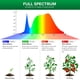 thumbnail image 5 of Bombilla de Luz para Cultivo SANSI 30W de Espectro Completo Regulable con Control Remoto, 5 of 7