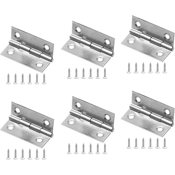 Bisagra Piutouyar 2 Pulgadas Acero Inoxidable 304 Pack 6