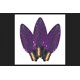 thumbnail image 1 of Bombilla Holiday Bright Lights C9 SMD, color morado, 120 V, 0,6 W, 1 of 1
