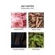 thumbnail image 3 of Frascos de recarga para difusor de pared NEST New York Rose Noir & Oud, 3 of 7