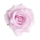 thumbnail image 3 of 10 Unids Seda Artificial Rosa Flor Cabezas Boda Fiesta Decoración Pink Pink, 3 of 5