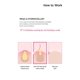 thumbnail image 5 of Parches hidrocoloides NEOGEN A-CLEAR para aliviar el acné (paquete de 2), 5 of 8