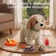 thumbnail image 2 of Perro de Peluche Juego De Juguetes Musical TM381 LuBabycas, 2 of 8