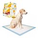 thumbnail image 1 of 100 Sabanillas entrenamiento para perros 45x60, 1 of 6