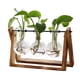 thumbnail image 1 of Terrario Para Plantas Con Soporte De Madera Y Jarrón De 3 Bulbos, 1 of 7