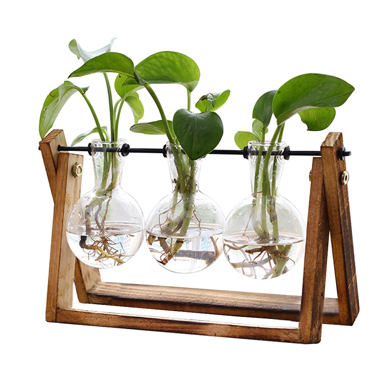 Xxxflower - Terrario Para Plantas Con Soporte De Madera Y Jarrón De 3 Bulbos