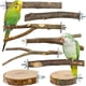 thumbnail image 1 of Perchas de madera natural de 8 piezas para periquitos, 1 of 3
