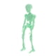 thumbnail image 4 of Hombre esqueleto de Halloween de cuerpo completo con grupos de manos para decoración Sodagreen, 4 of 5