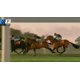thumbnail image 2 of Videojuego Phar Lap Horse Racing Challenge para Xbox One, 2 of 7