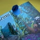 thumbnail image 5 of Un mundo de papel - El océano, 5 of 10