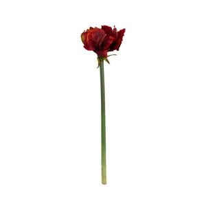 Corel - Amaryllis Roja Realista 68Cm