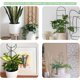 thumbnail image 4 of 4 piezas de enrejado para plantas trepadoras de interior, enrejado pequeño para plantas en maceta, enrejado para plantas de interior para plantas en maceta, enrejado de jardín negro para Hoya, Pothos,, 4 of 7