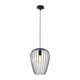 thumbnail image 1 of Lampara Colgante Newtown Negro E27 1X60W, 1 of 1