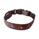 thumbnail image 1 of Collar Luminoso Resistente Con Luz Intermitente Para Perros Para Trabajar, Entrenar Y Correr, 1 of 3