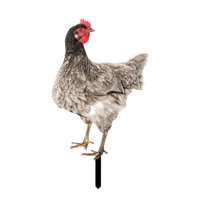 Magideal - Estaca De Gallo Para Jardín, Escultura De Estatua De Jardín De Gallina, Adorno De Césped Para Granja, Vacaciones, Exterior, Cumpleaños, Patio Trasero Estilo D