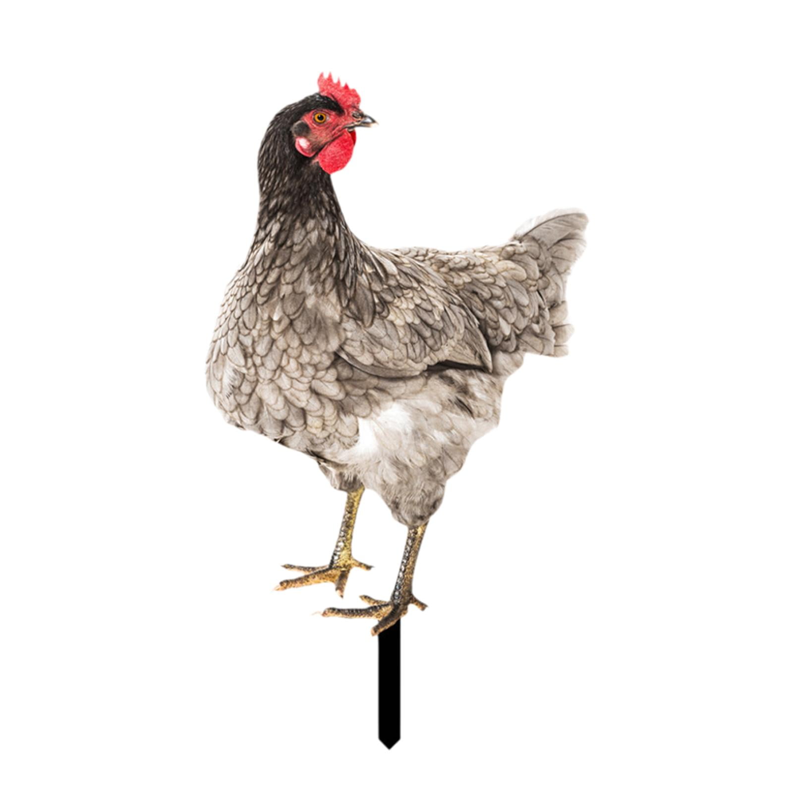 Magideal - Estaca De Gallo Para Jardín, Escultura De Estatua De Jardín De Gallina, Adorno De Césped Para Granja, Vacaciones, Exterior, Cumpleaños, Patio Trasero Estilo D