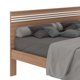 thumbnail image 4 of Cama Cm8009Ab 2 Plaza Base Normal, 4 of 6