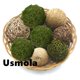 thumbnail image 5 of Bolas de musgo decorativas Usmola para centros de mesa, cuencos y llenadores de jarrones, 5 of 7