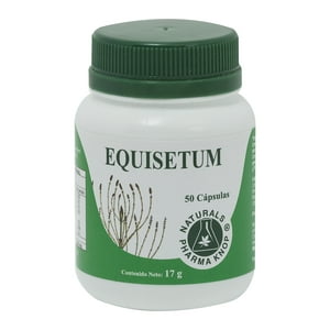Equisetum 240 Mg X 50 Cápsulas Pharma Knop