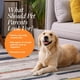 thumbnail image 5 of Shampoo Veterinary Formula Clinical Care 3,8 L para Perros y Gatos, 5 of 7