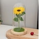 thumbnail image 3 of Girasol Flor Eterna, 3 of 3