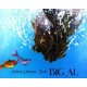 thumbnail image 1 of Libro Atheneum Books for Young Readers – Big Al, 1 of 1
