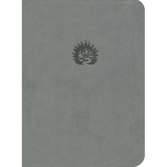 Biblia de Estudio de la Reforma – Reformation Trust Publishing – Cubierta de Cuero Sintético Gris Claro