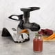 thumbnail image 2 of Extractor de verduras y frutas Juicer Omega Premium, 150 W, color plateado, 2 of 9