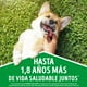 thumbnail image 2 of Alimento Seco Perro Adulto Raza Pequeña Carne y Pollo Bolsa, 3 Kg, 2 of 7