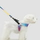 thumbnail image 3 of Pidan® Arnés Para Mascotas Pet - Pequeño, 3 of 3